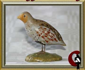 Red legged partridge - Alectoris rufa